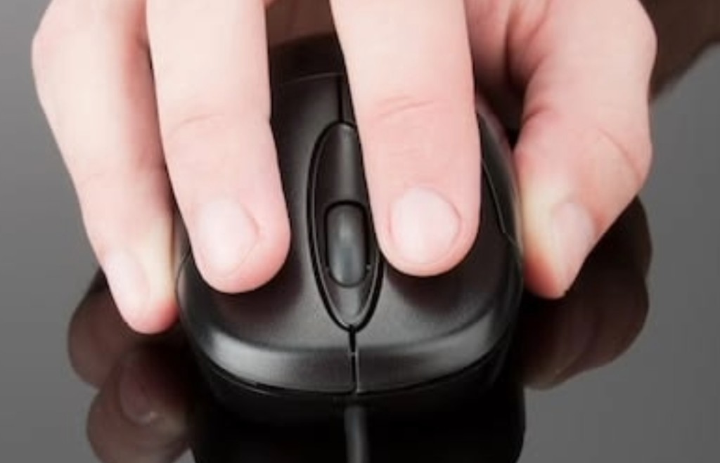Mouse